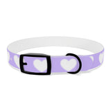 Dog Collar - Lovely Dog Color Pattern Design