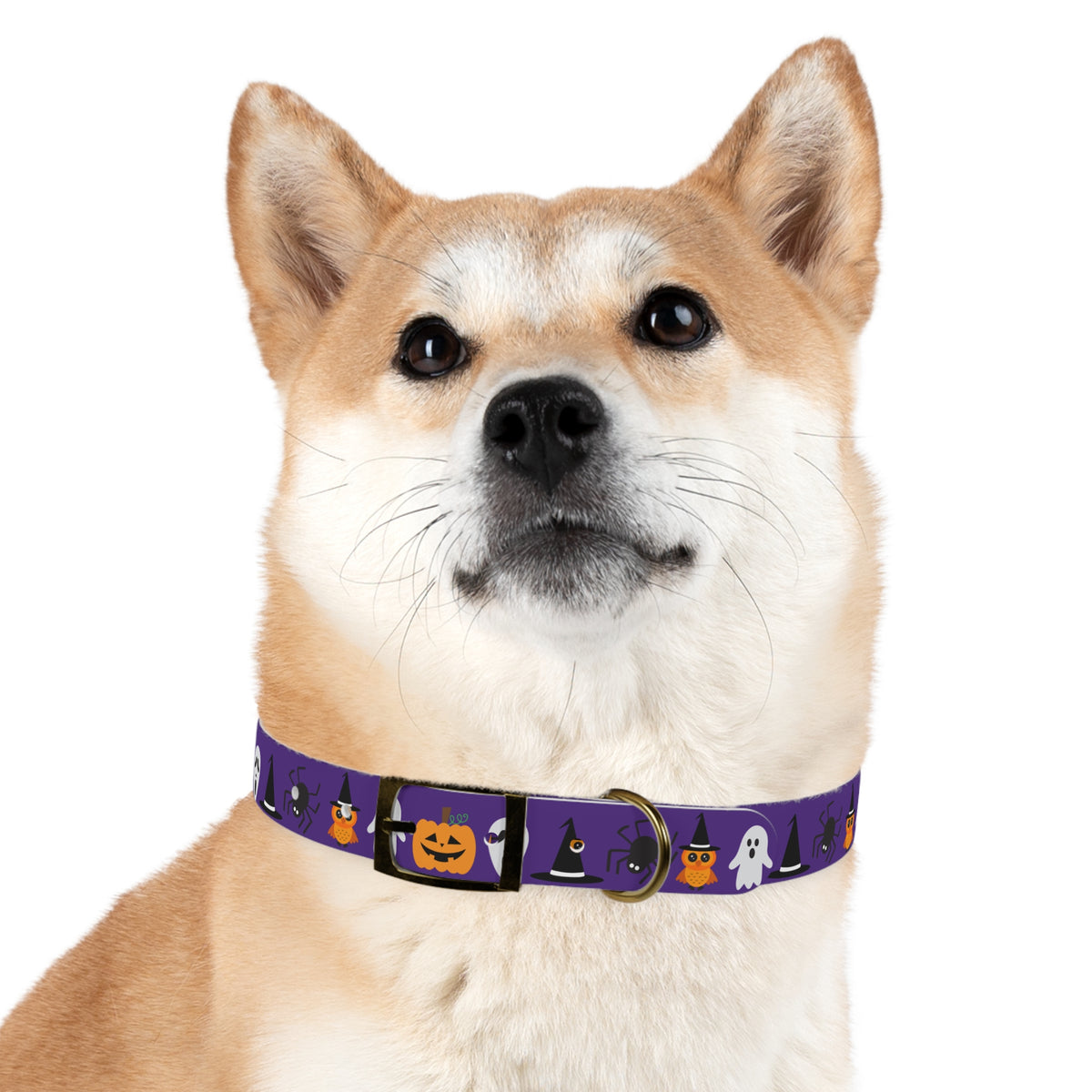 Boo Dog Collar
