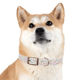 Floral Meadow Dog Collar – Pastel Tiny Flowers Pattern, Spring-Summer Pet Accessory
