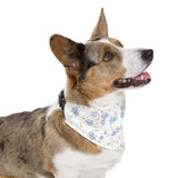 Floral Blue Rose Pet Bandana Collar — Spring Floral Dog & Cat Accessory
