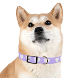 Dog Collar - Lovely Dog Color Pattern Design