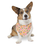 Cool Summer Bandana Collar