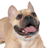 Floral Meadow Dog Collar – Pastel Tiny Flowers Pattern, Spring-Summer Pet Accessory