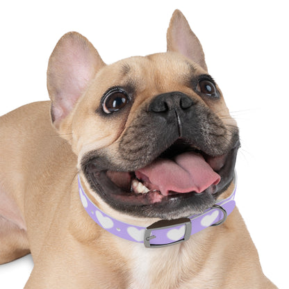 Dog Collar - Lovely Dog Color Pattern Design