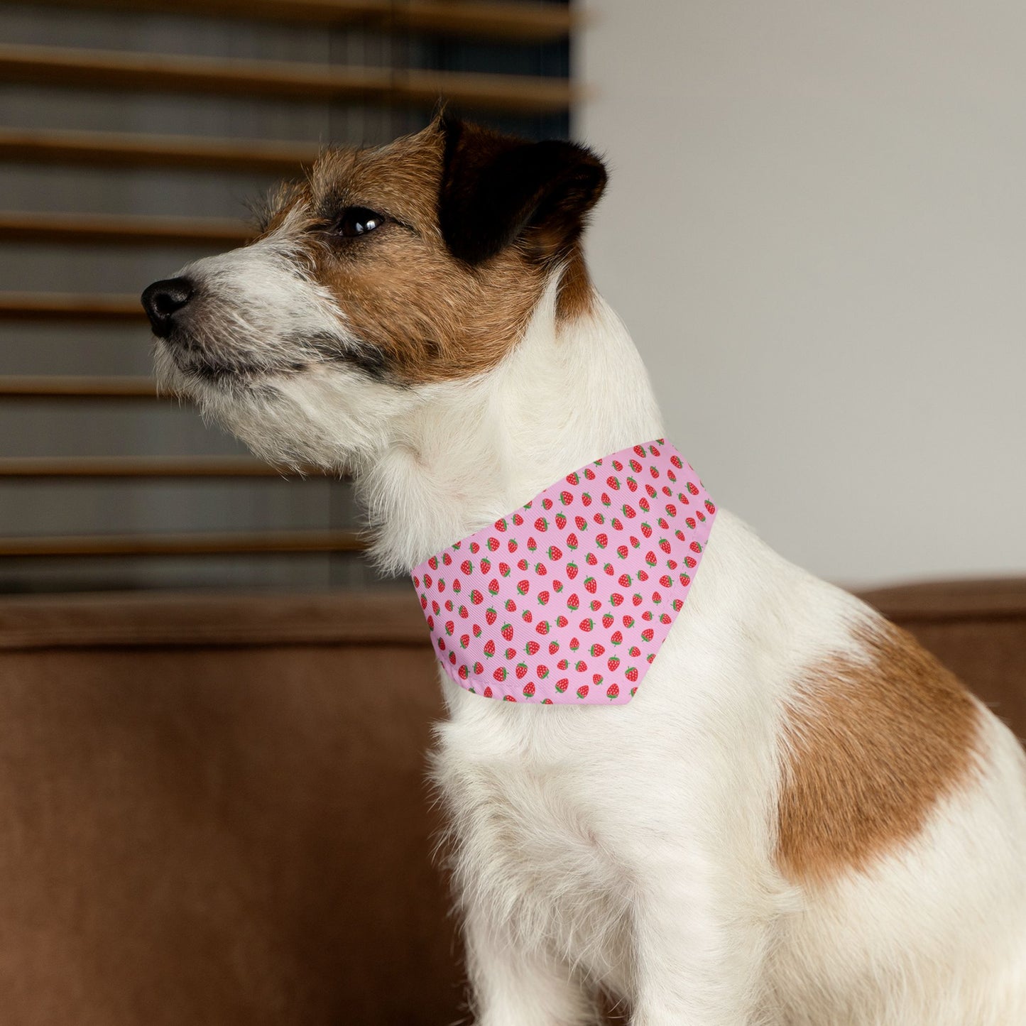 Strawberry Pet Bandana
