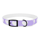 Dog Collar - Lovely Dog Color Pattern Design