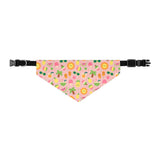 Cool Summer Bandana Collar