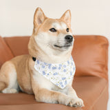 Floral Blue Rose Pet Bandana Collar — Spring Floral Dog & Cat Accessory