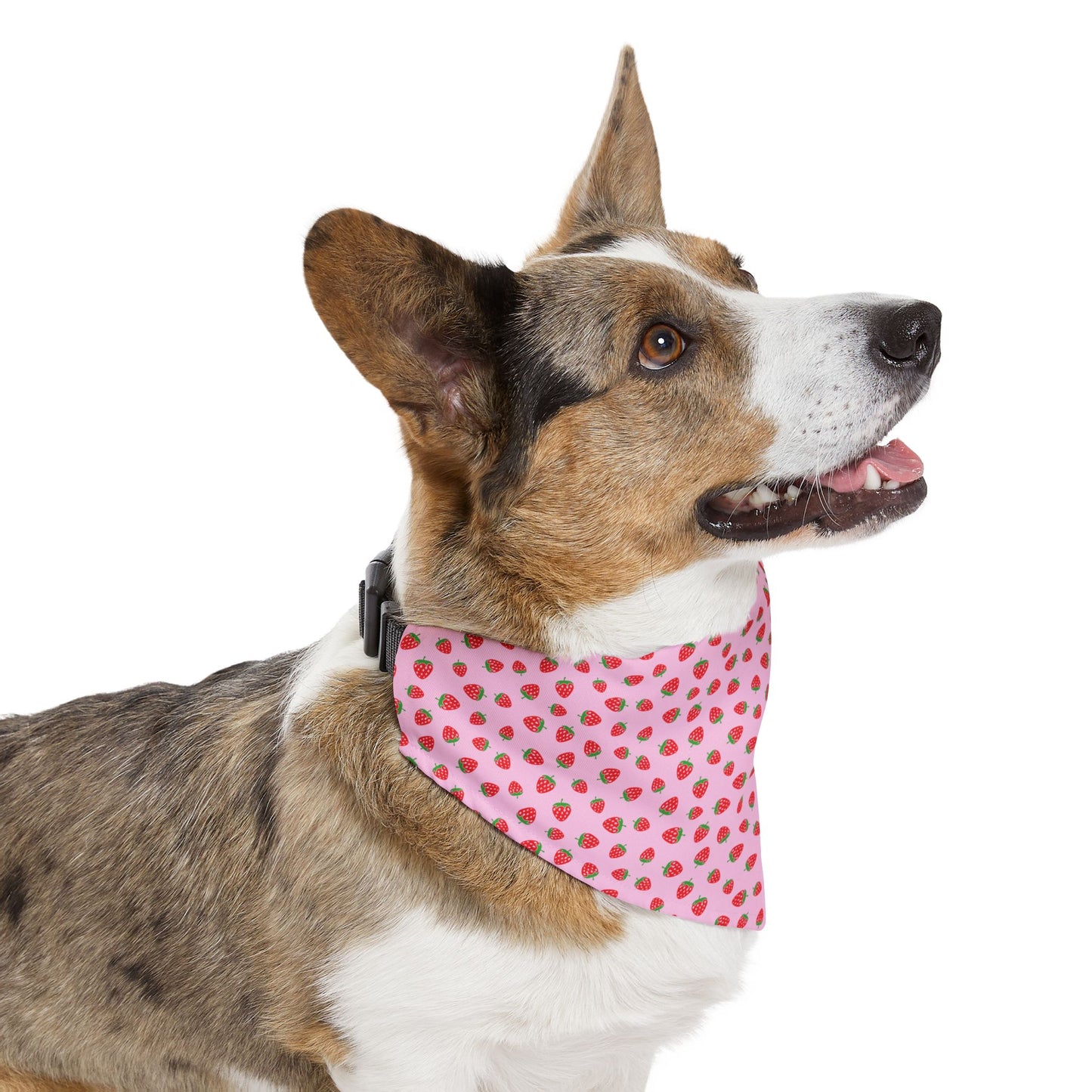 Strawberry Pet Bandana