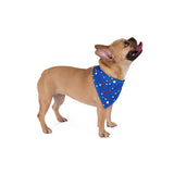 Pet Bandana - 4th of July
