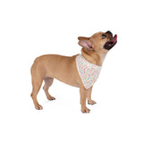 Floral Pet Bandana