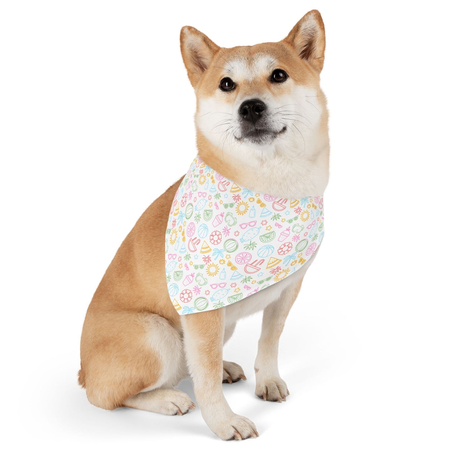 Colorful Summer Pet Bandana Collar