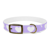 Dog Collar - Lovely Dog Color Pattern Design