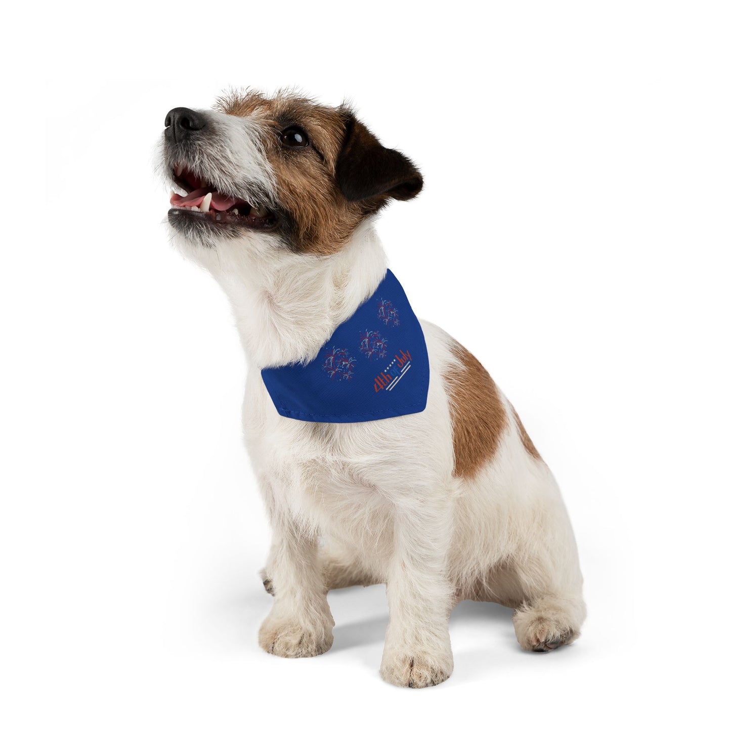 4th of July Bandana