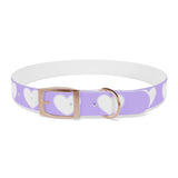 Dog Collar - Lovely Dog Color Pattern Design