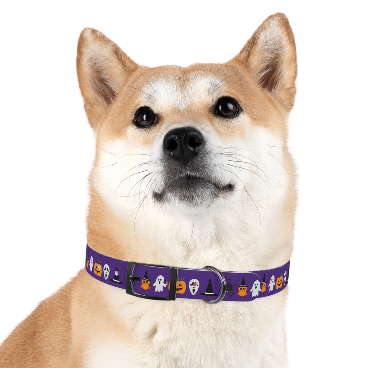 Boo Dog Collar