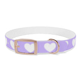 Dog Collar - Lovely Dog Color Pattern Design