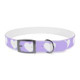 Dog Collar - Lovely Dog Color Pattern Design