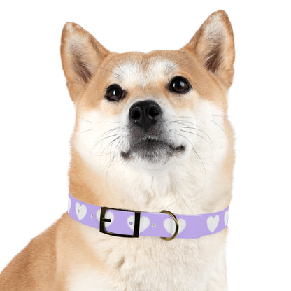 Dog Collar - Lovely Dog Color Pattern Design