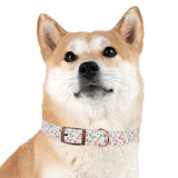 Floral Meadow Dog Collar – Pastel Tiny Flowers Pattern, Spring-Summer Pet Accessory