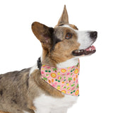 Cool Summer Bandana Collar