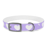 Dog Collar - Lovely Dog Color Pattern Design