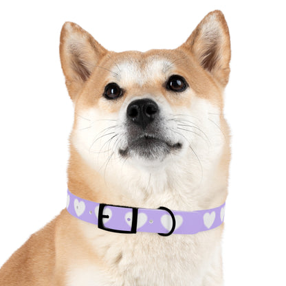 Dog Collar - Lovely Dog Color Pattern Design