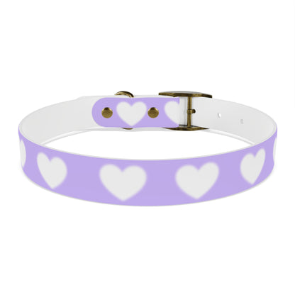 Dog Collar - Lovely Dog Color Pattern Design