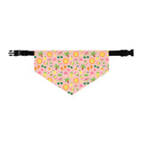 Cool Summer Bandana Collar
