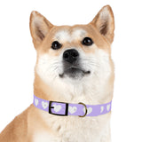 Dog Collar - Lovely Dog Color Pattern Design