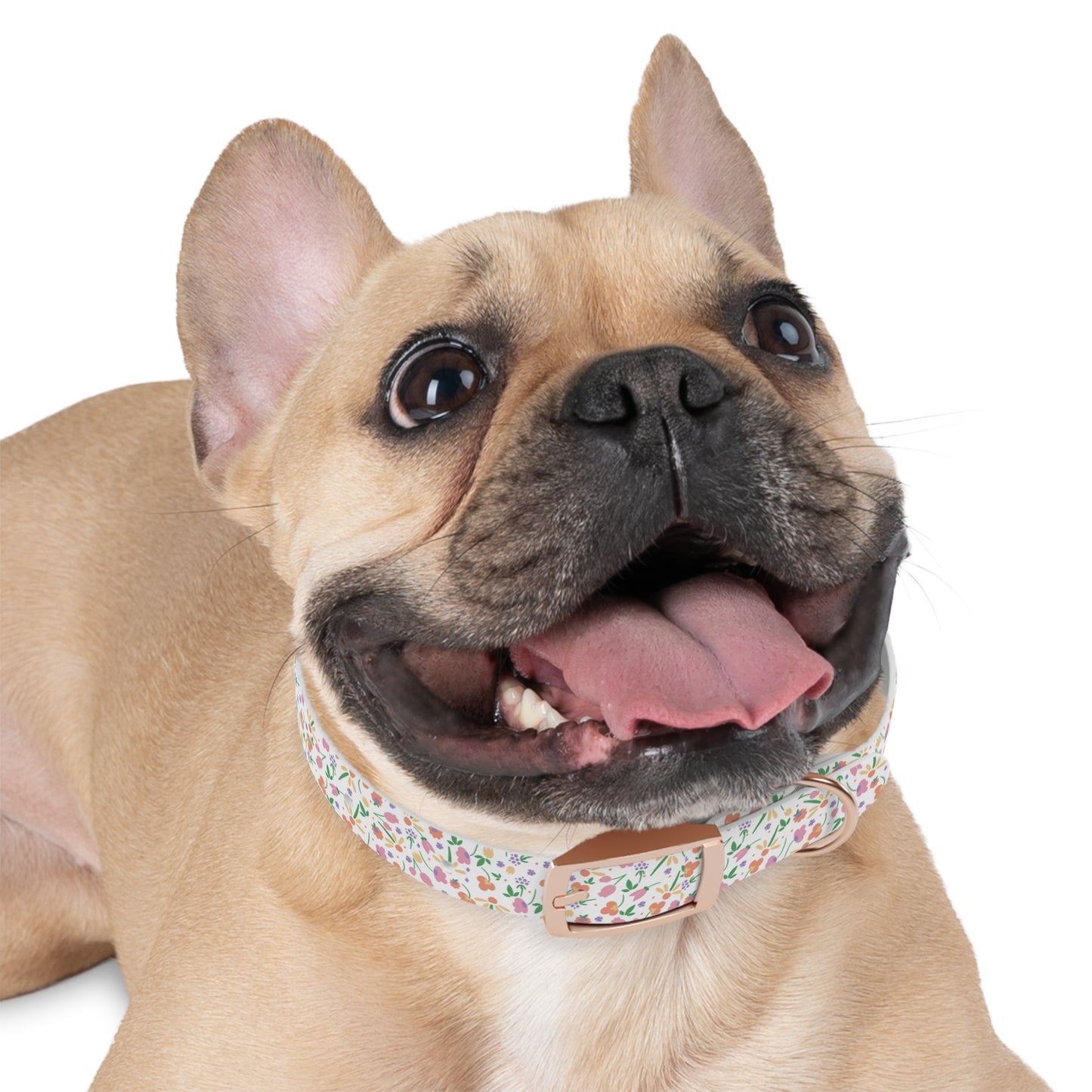 Floral Meadow Dog Collar – Pastel Tiny Flowers Pattern, Spring-Summer Pet Accessory