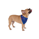 The Boom Bandana