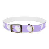 Dog Collar - Lovely Dog Color Pattern Design