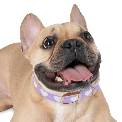 Dog Collar - Lovely Dog Color Pattern Design